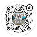 sararz手外一