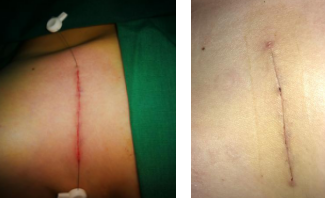 betway在线登陆手外科