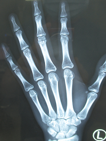 <a href='http://www.sararz.com/' target='_blank'><u>betway在线登陆</u></a>