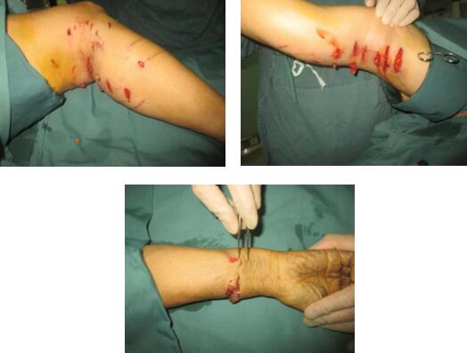 <a href='http://www.sararz.com/' target='_blank'><u>betway在线登陆</u></a>