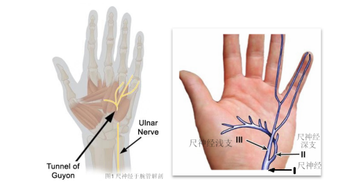 <a href='http://www.sararz.com/' target='_blank'><u>betway在线登陆</u></a>