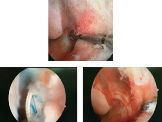 betway在线登陆足踝科