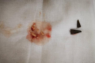 必威官方首页官网betway