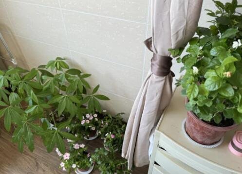 betway在线登陆无陪护病房